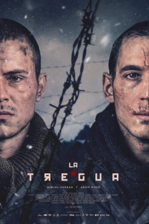 The20Truce202025.jpg